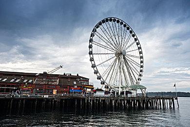 羊王后继有人 《非常普通的鹿》11月25日正式推出 